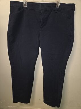 Old Navy Pixie Skinny High-Rise Pants in Navy Womens Plus Size 22w